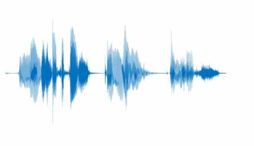 Proefschrift: Objectief meten van spraakverstaanbaarheid met een cochleair implantaat