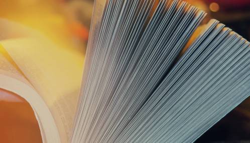 1600 proefschriften KNO online