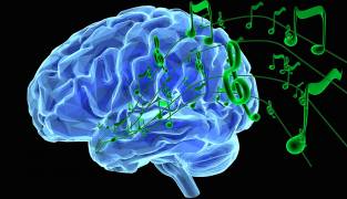 Muziek goed voor brein- en taalontwikkeling