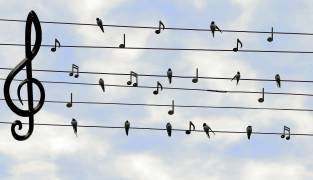Zit er muziek in een CI?