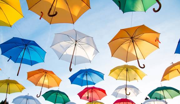 Van der Lemsymposium 2015: Executieve Functies
