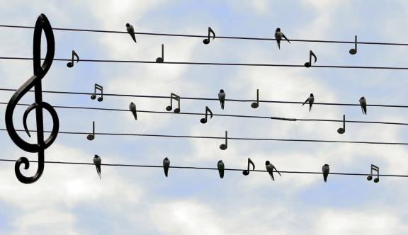 Zit er muziek in een CI?