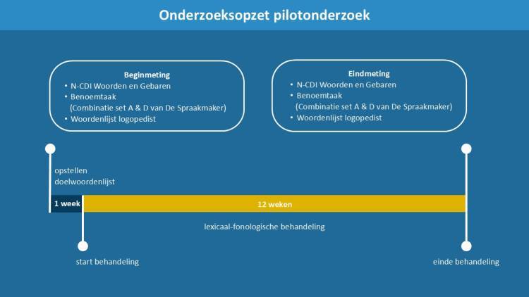 Figuur 1 Onderzoeksopzet pilotonderzoek