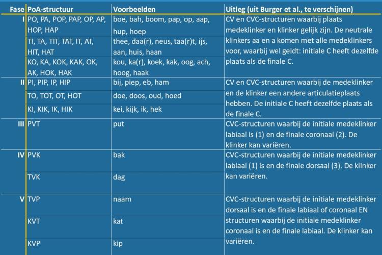 Kader 1. Fases in de ontwikkeling van Plaats van Articulatie-structuren