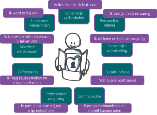 Figuur 5. De verdeling van redenen van geluk van de deelnemers over de 11 domeinen van kwaliteit van leven van mensen met CMB, met voorbeelden van belangrijke indicatoren per domein