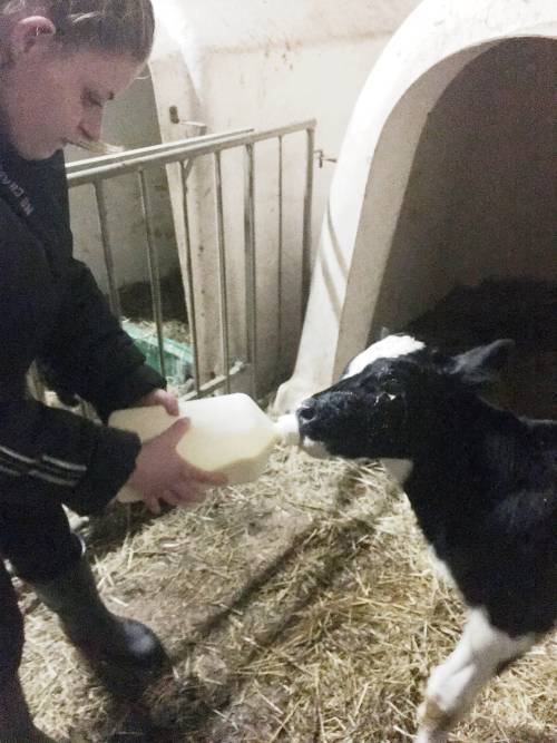 Foto: emotioneel welbevinden, gemoedstoestand